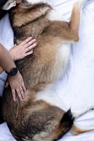 Massage - Steichung