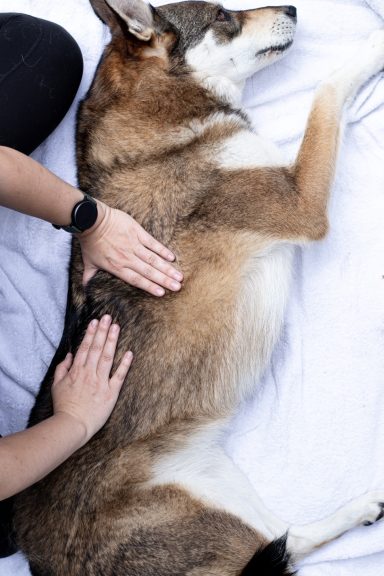 Freya genießt ihre Massage